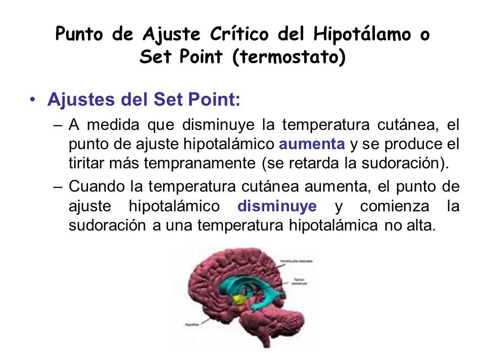 Punto de Ajuste Crítico del Hipotálamo o Set Point (termostato)