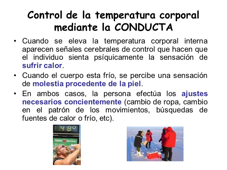 Control de la temperatura corporal mediante la CONDUCTA