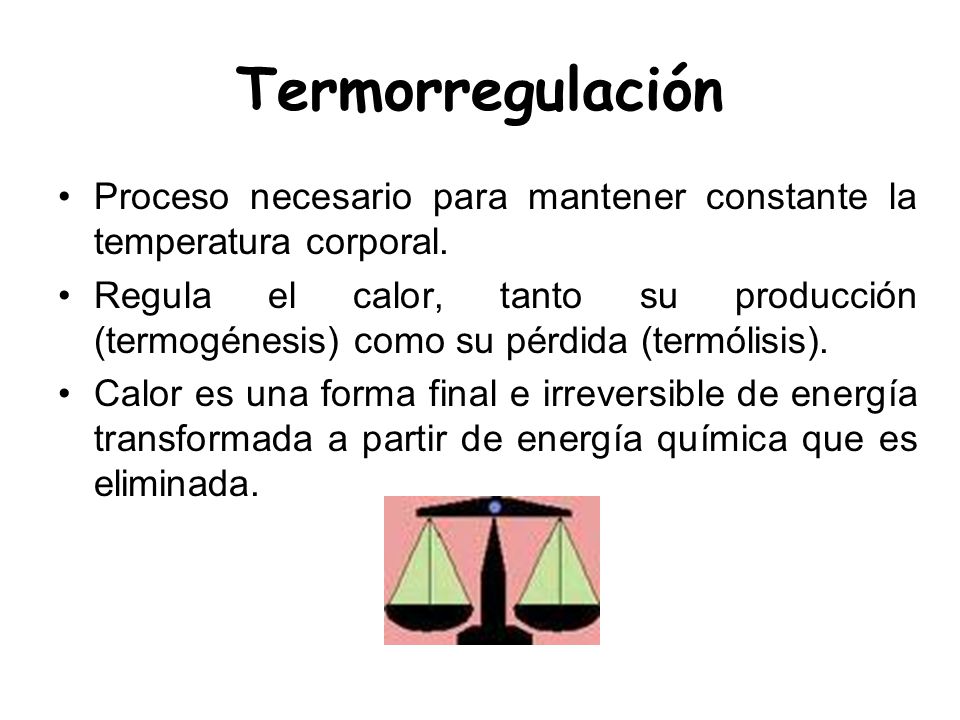 Termorregulación Proceso necesario para mantener constante la temperatura corporal.