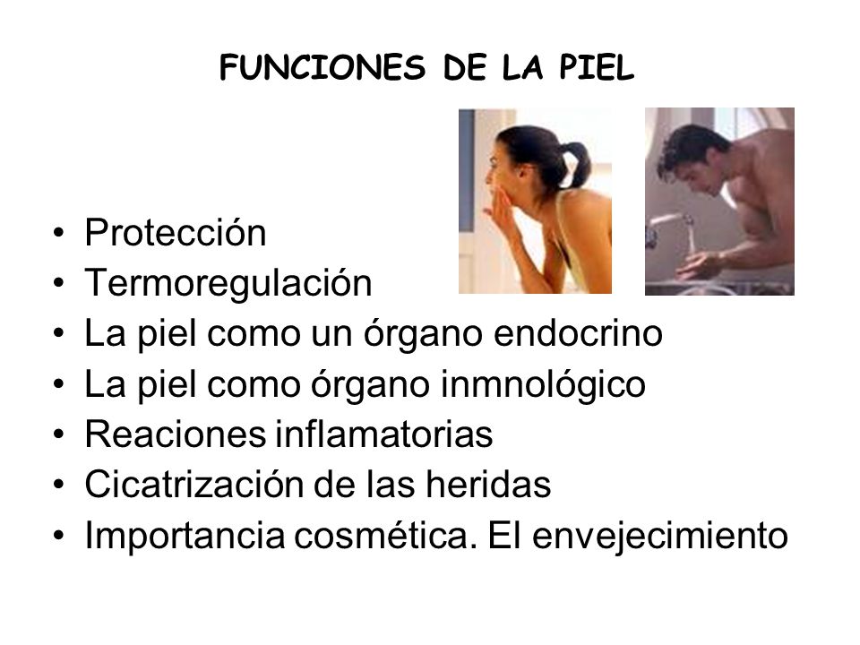 La piel como un órgano endocrino La piel como órgano inmnológico