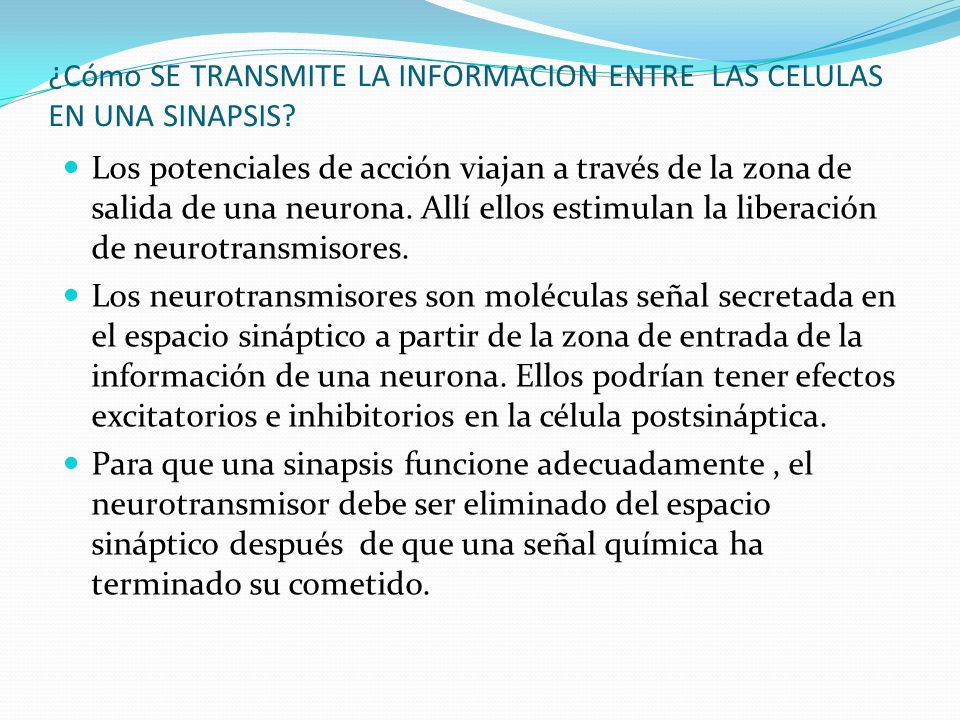¿Cómo SE TRANSMITE LA INFORMACION ENTRE LAS CELULAS EN UNA SINAPSIS
