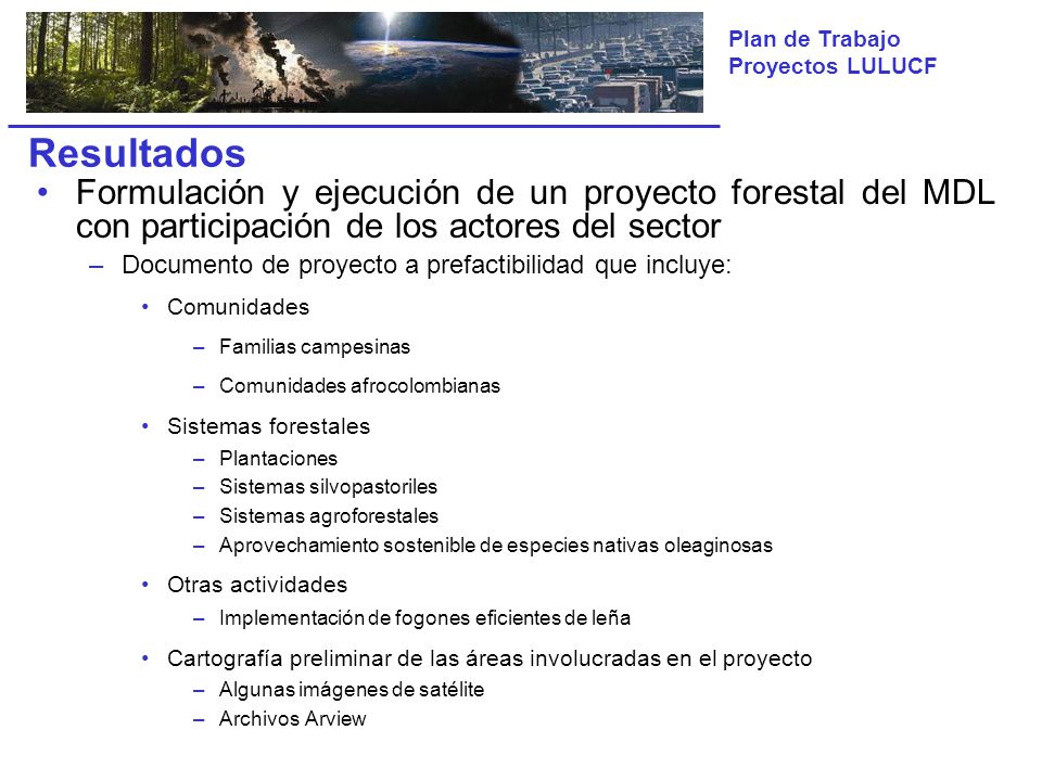 Resultados Formulación y ejecución de un proyecto forestal del MDL con participación de los actores del sector.