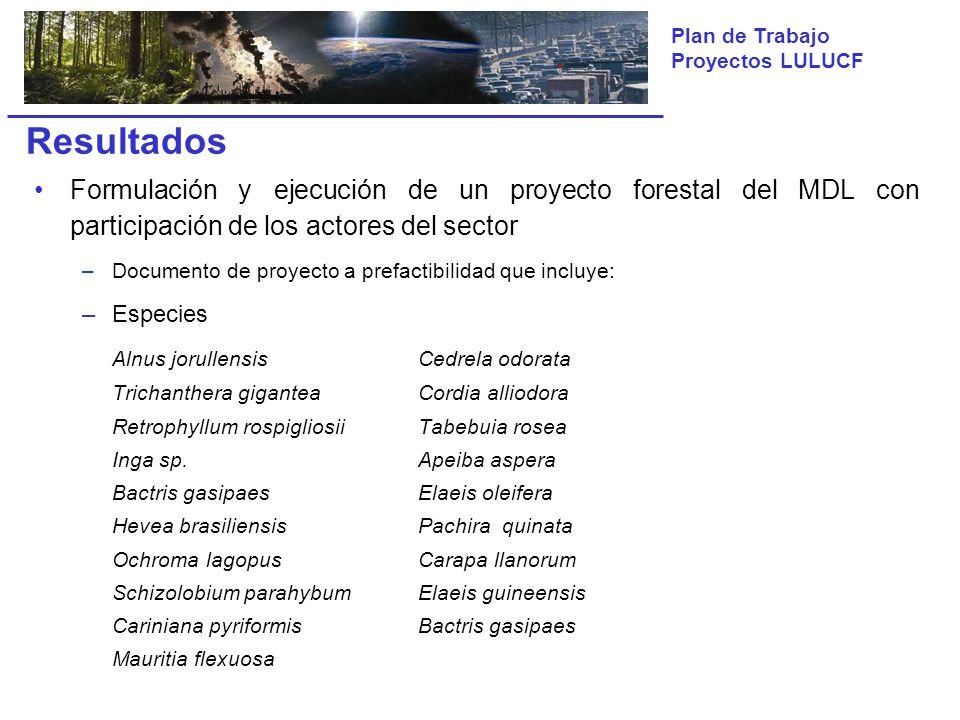 Resultados Formulación y ejecución de un proyecto forestal del MDL con participación de los actores del sector.