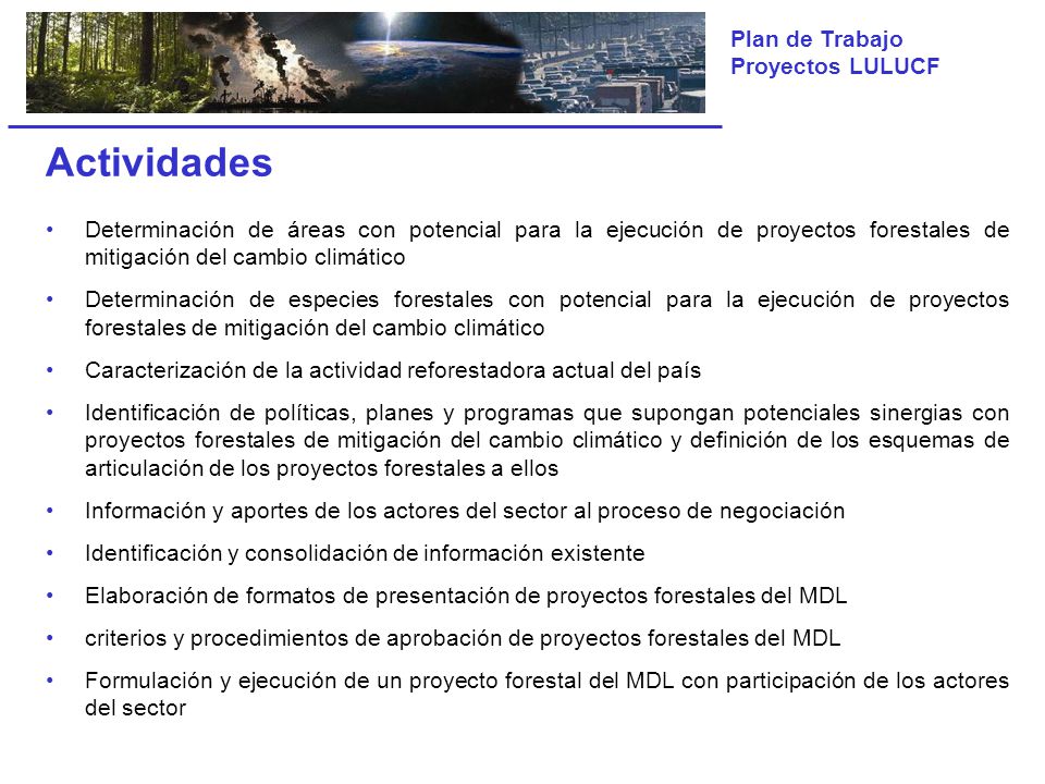 Actividades Determinación de áreas con potencial para la ejecución de proyectos forestales de mitigación del cambio climático.