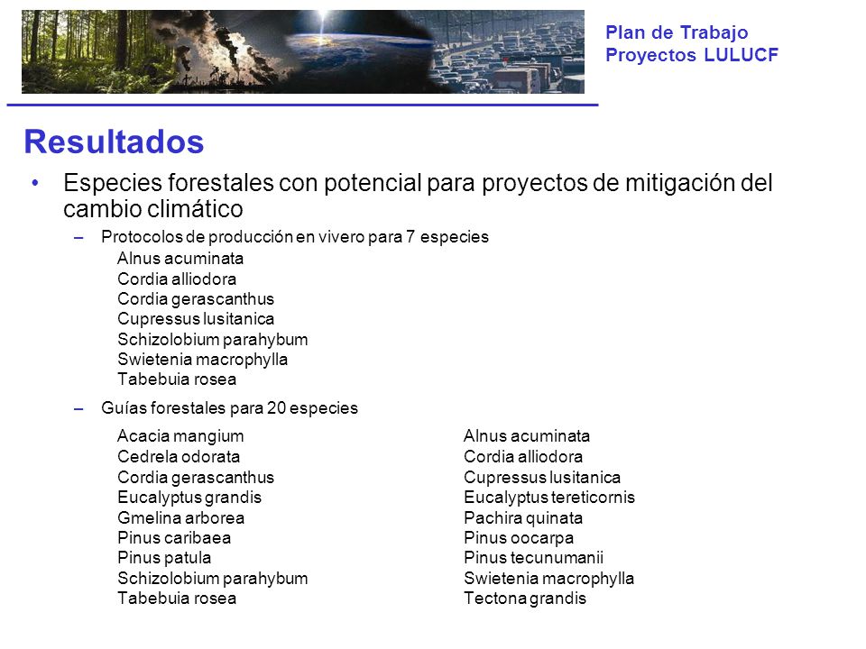 Resultados Especies forestales con potencial para proyectos de mitigación del cambio climático. Protocolos de producción en vivero para 7 especies.