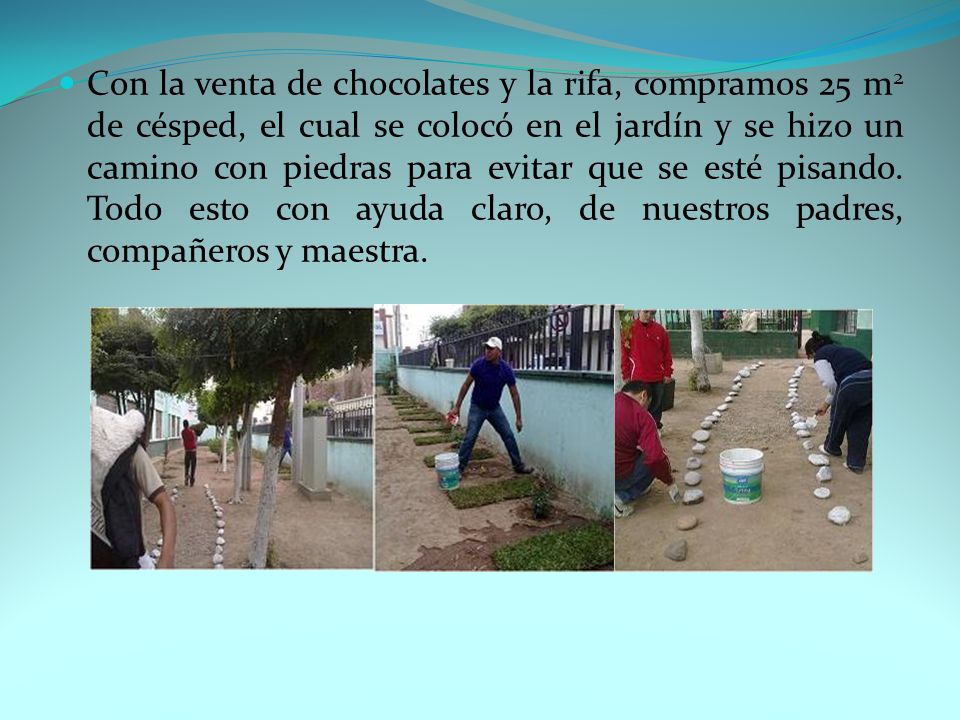 Con la venta de chocolates y la rifa, compramos 25 m2 de césped, el cual se colocó en el jardín y se hizo un camino con piedras para evitar que se esté pisando.