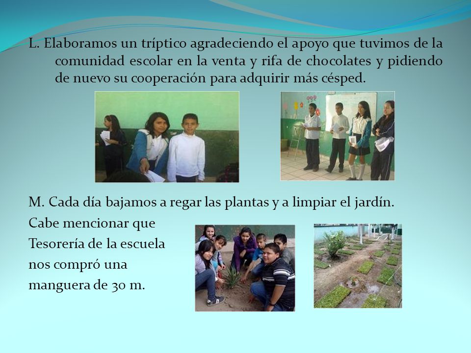 L. Elaboramos un tríptico agradeciendo el apoyo que tuvimos de la comunidad escolar en la venta y rifa de chocolates y pidiendo de nuevo su cooperación para adquirir más césped.