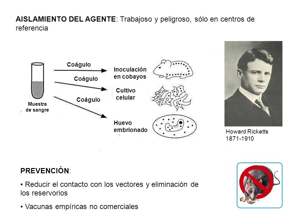 Reducir el contacto con los vectores y eliminación de los reservorios