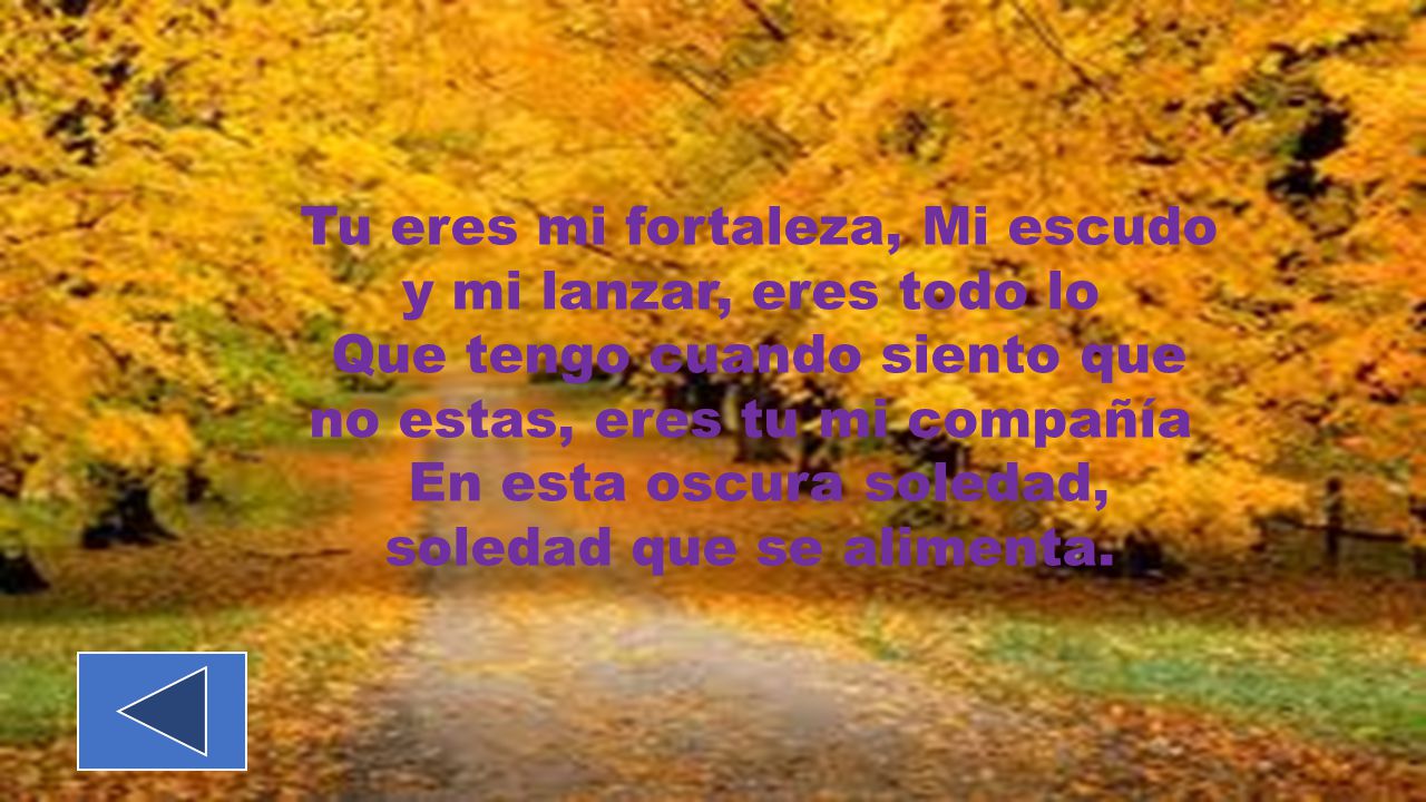 Tu eres mi fortaleza, Mi escudo y mi lanzar, eres todo lo Que tengo cuando siento que no estas, eres tu mi compañía En esta oscura soledad, soledad que se alimenta.