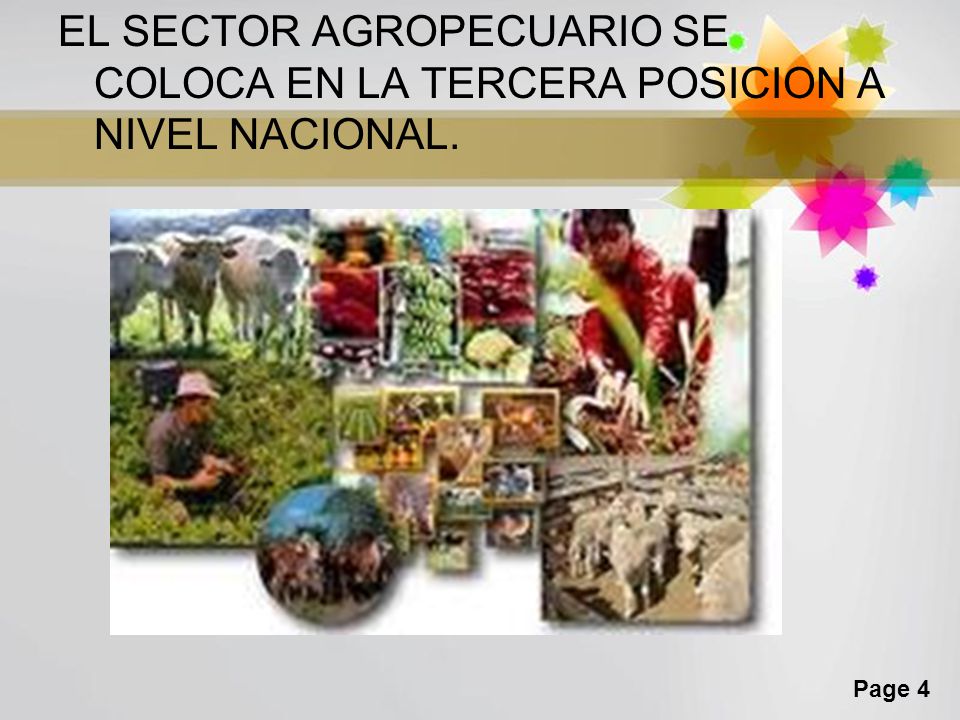 EL SECTOR AGROPECUARIO SE COLOCA EN LA TERCERA POSICION A NIVEL NACIONAL.