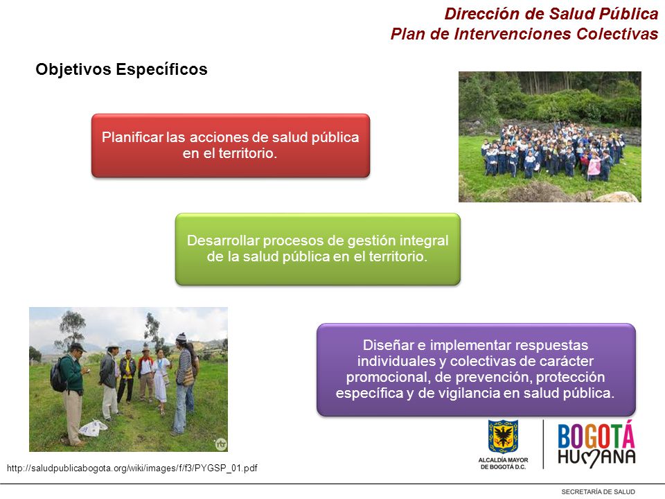 Planificar las acciones de salud pública en el territorio.