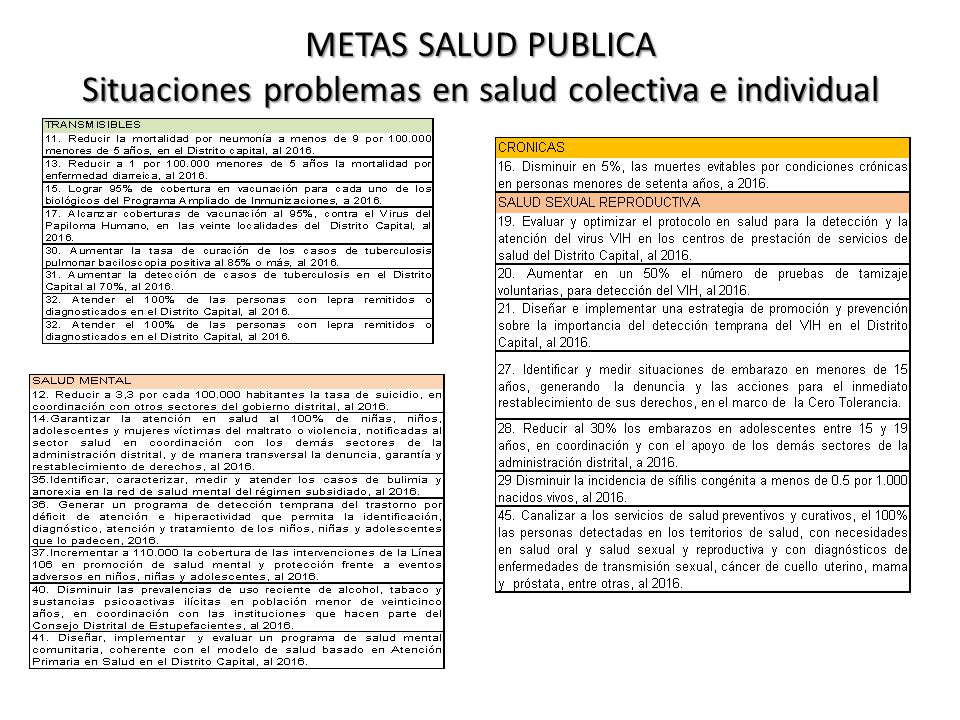 METAS SALUD PUBLICA Situaciones problemas en salud colectiva e individual