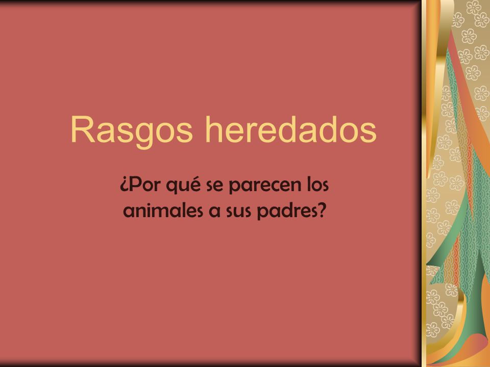 ¿Por qué se parecen los animales a sus padres