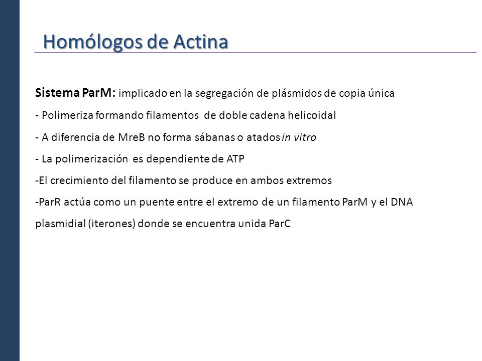 Homólogos de Actina Sistema ParM: implicado en la segregación de plásmidos de copia única.