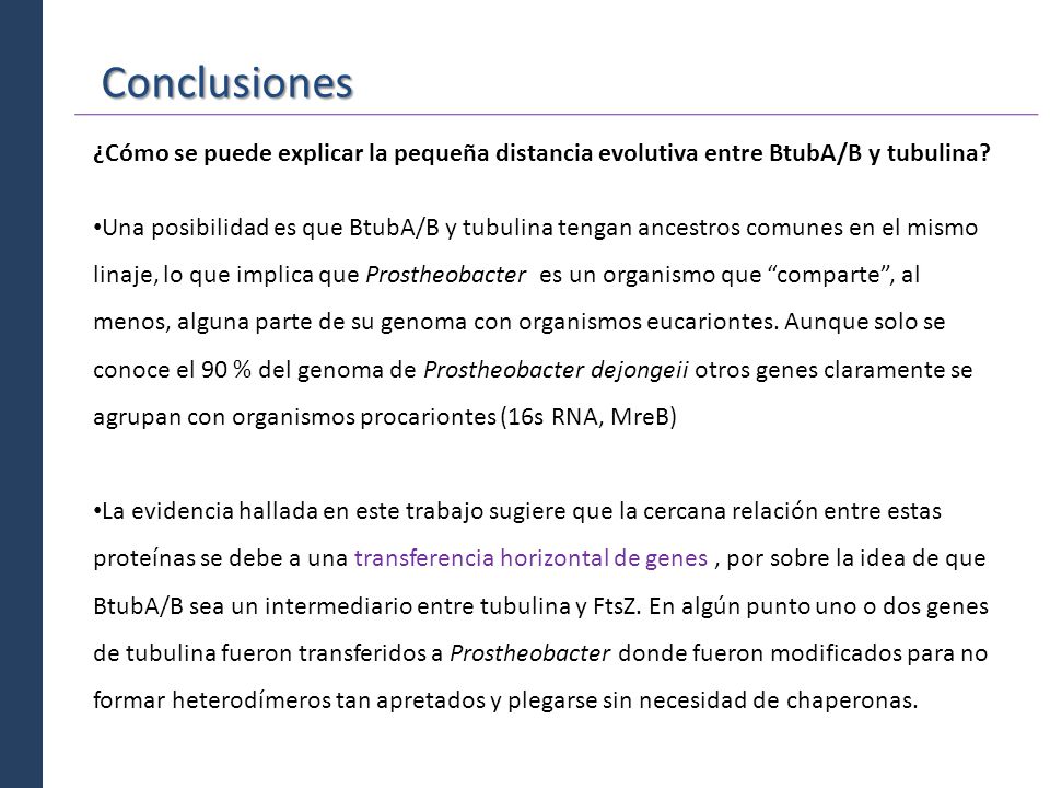 Conclusiones ¿Cómo se puede explicar la pequeña distancia evolutiva entre BtubA/B y tubulina