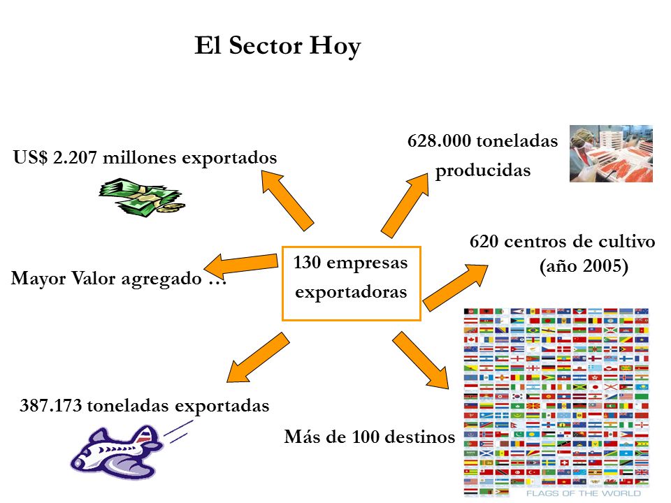 US$ millones exportados 620 centros de cultivo (año 2005)