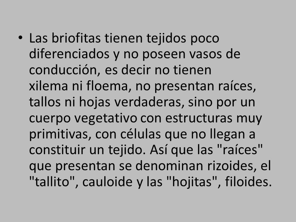 Las briofitas tienen tejidos poco diferenciados y no poseen vasos de conducción, es decir no tienen xilema ni floema, no presentan raíces, tallos ni hojas verdaderas, sino por un cuerpo vegetativo con estructuras muy primitivas, con células que no llegan a constituir un tejido.