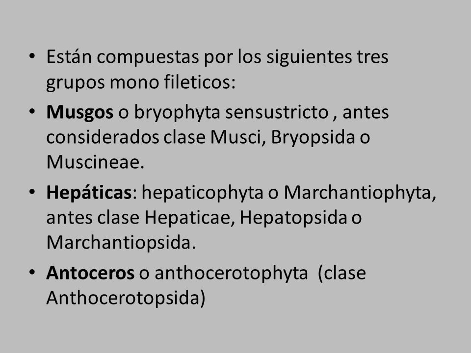 Están compuestas por los siguientes tres grupos mono fileticos: