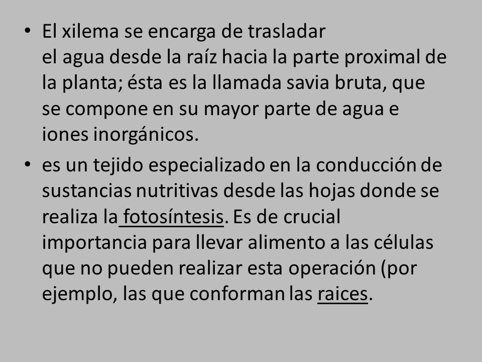 El xilema se encarga de trasladar el agua desde la raíz hacia la parte proximal de la planta; ésta es la llamada savia bruta, que se compone en su mayor parte de agua e iones inorgánicos.