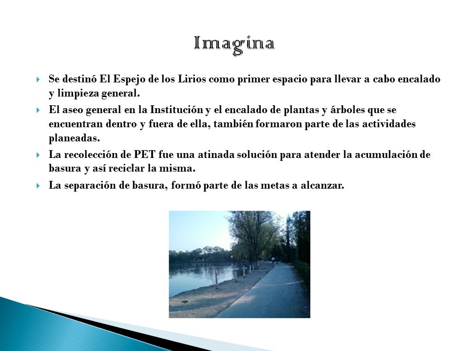 Imagina Se destinó El Espejo de los Lirios como primer espacio para llevar a cabo encalado y limpieza general.