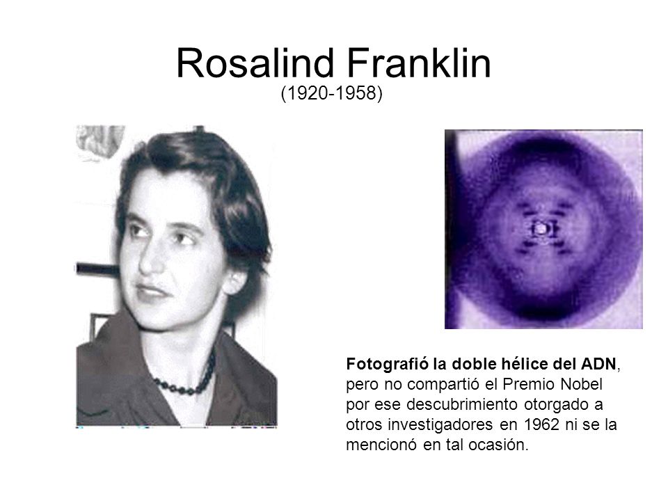 Rosalind Franklin ( ) Fotografió la doble hélice del ADN,