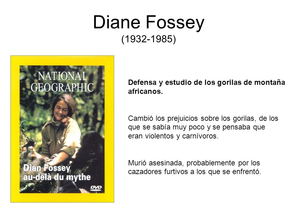 Diane Fossey ( ) Defensa y estudio de los gorilas de montaña