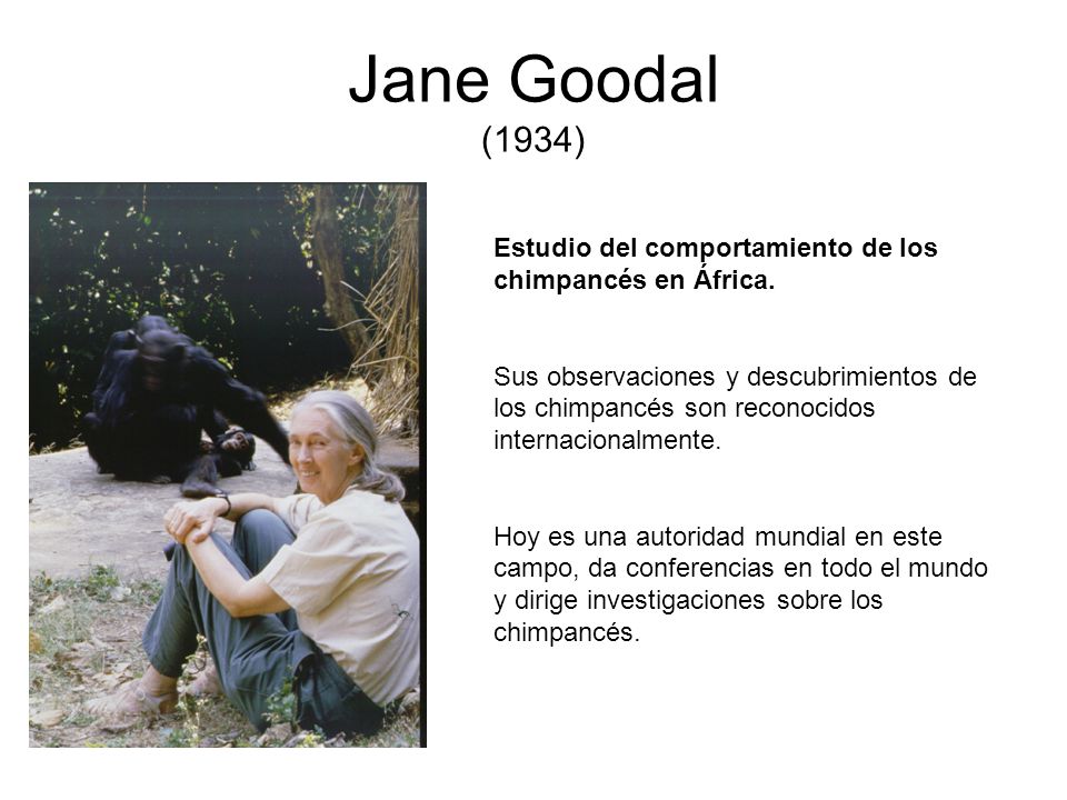 Jane Goodal (1934) Estudio del comportamiento de los chimpancés en África.