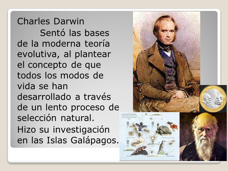 Charles Darwin Sentó las bases de la moderna teoría evolutiva, al plantear el concepto de que todos los modos de vida se han desarrollado a través de un lento proceso de selección natural.