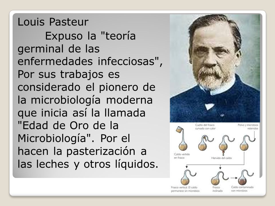 Louis Pasteur Expuso la teoría germinal de las enfermedades infecciosas , Por sus trabajos es considerado el pionero de la microbiología moderna que inicia así la llamada Edad de Oro de la Microbiología .