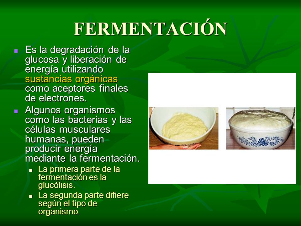 FERMENTACIÓN Es la degradación de la glucosa y liberación de energía utilizando sustancias orgánicas como aceptores finales de electrones.