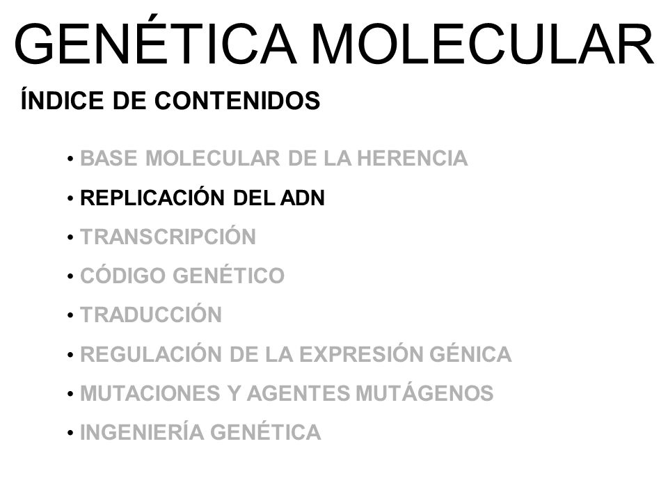 GENÉTICA MOLECULAR ÍNDICE DE CONTENIDOS BASE MOLECULAR DE LA HERENCIA
