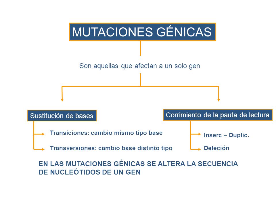 MUTACIONES GÉNICAS Son aquellas que afectan a un solo gen