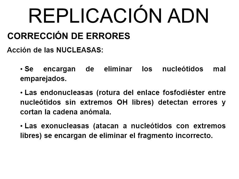 REPLICACIÓN ADN CORRECCIÓN DE ERRORES Acción de las NUCLEASAS: