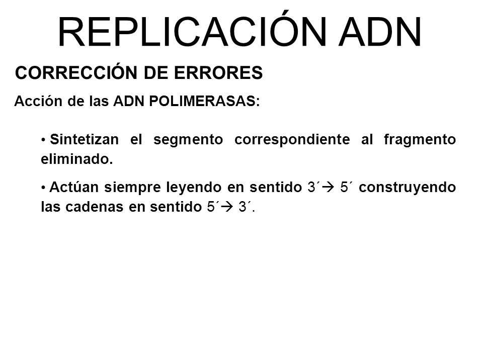 REPLICACIÓN ADN CORRECCIÓN DE ERRORES Acción de las ADN POLIMERASAS: