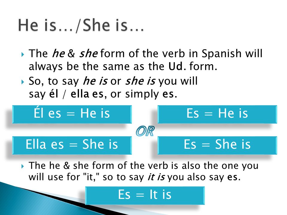 He is…/She is… Él es = He is Es = He is OR Ella es = She is