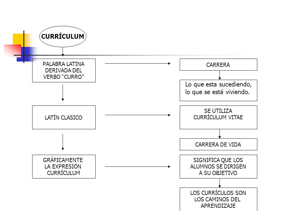 CURRÍCULUM Lo que esta sucediendo, lo que se está viviendo.