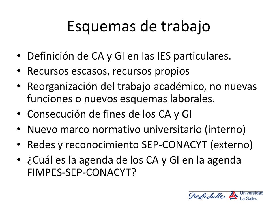 Esquemas de trabajo Definición de CA y GI en las IES particulares.