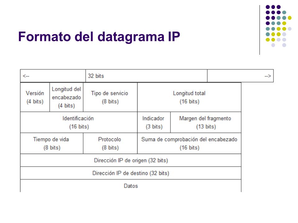 Formato del datagrama IP
