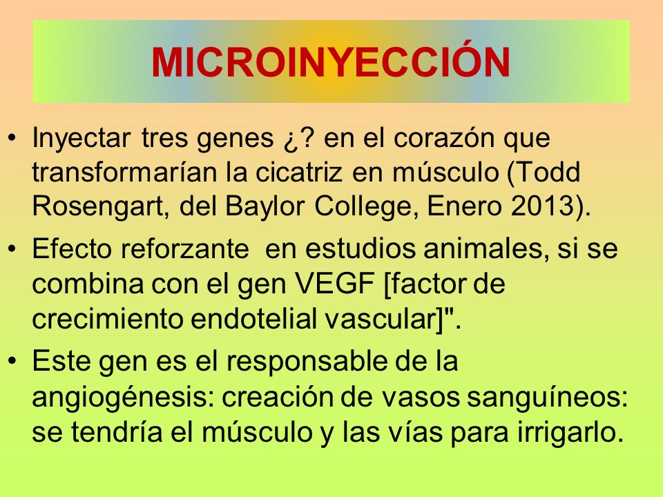 MICROINYECCIÓN Inyectar tres genes ¿ en el corazón que transformarían la cicatriz en músculo (Todd Rosengart, del Baylor College, Enero 2013).