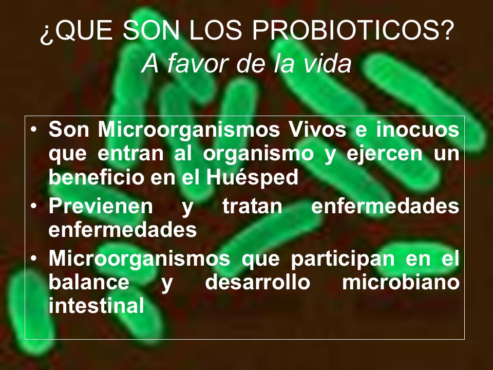 ¿QUE SON LOS PROBIOTICOS A favor de la vida