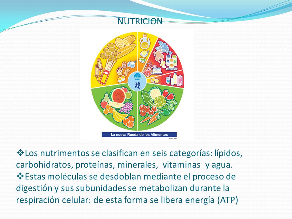 NUTRICION Los nutrimentos se clasifican en seis categorías: lípidos, carbohidratos, proteínas, minerales, vitaminas y agua.