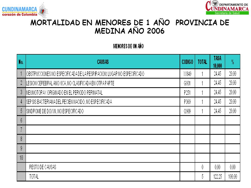 MORTALIDAD EN MENORES DE 1 AÑO PROVINCIA DE MEDINA AÑO 2006