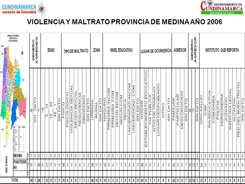 VIOLENCIA Y MALTRATO PROVINCIA DE MEDINA AÑO 2006
