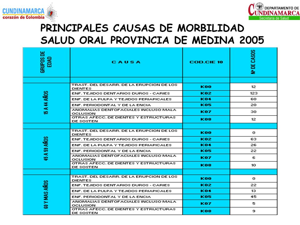 PRINCIPALES CAUSAS DE MORBILIDAD SALUD ORAL PROVINCIA DE MEDINA 2005