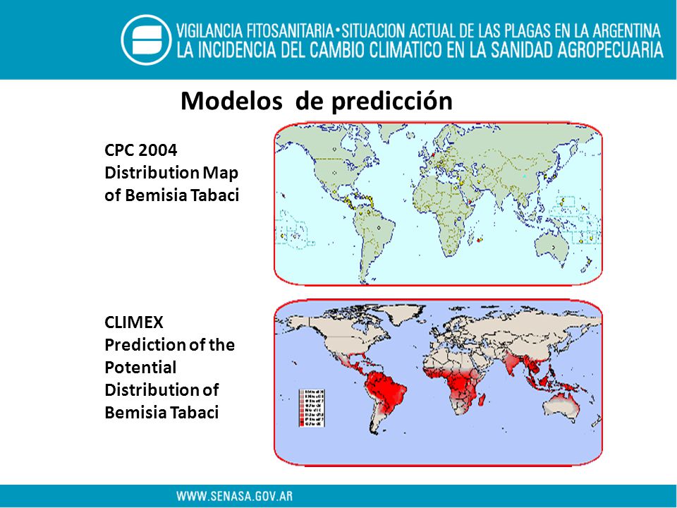 Modelos de predicción CPC 2004 Distribution Map of Bemisia Tabaci