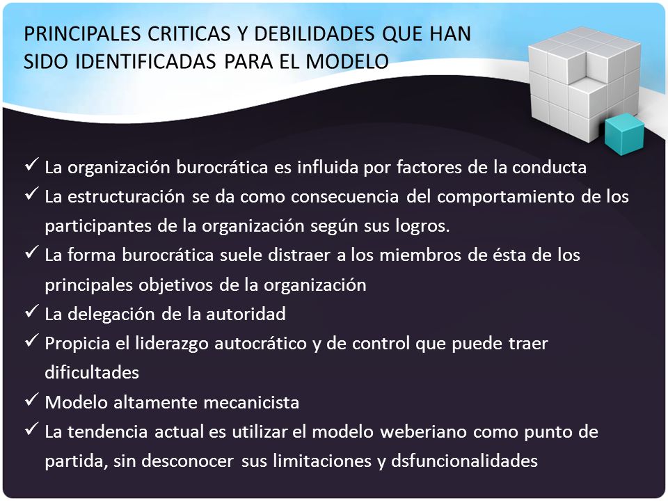 PRINCIPALES CRITICAS Y DEBILIDADES QUE HAN SIDO IDENTIFICADAS PARA EL MODELO