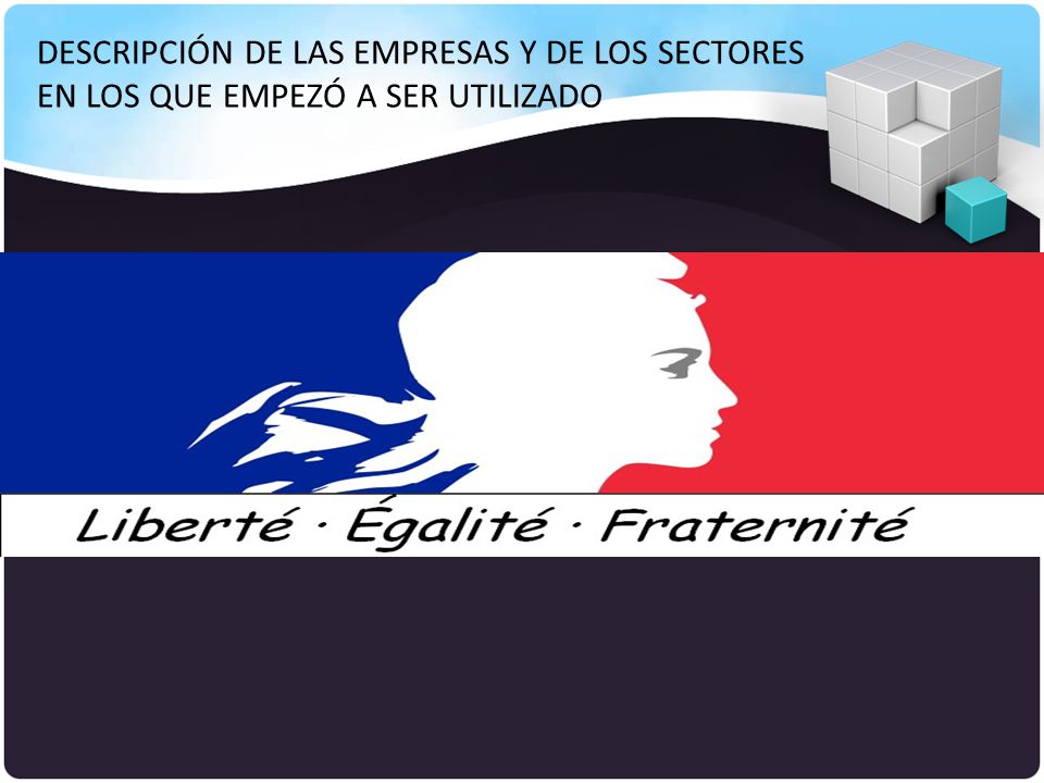 DESCRIPCIÓN DE LAS EMPRESAS Y DE LOS SECTORES EN LOS QUE EMPEZÓ A SER UTILIZADO