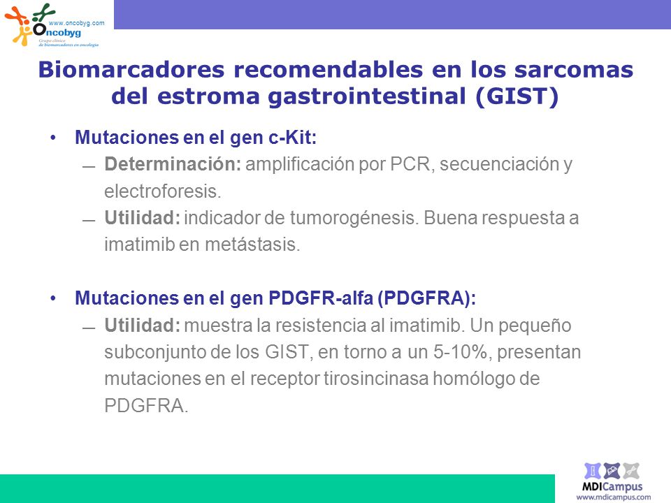 Biomarcadores recomendables en los sarcomas del estroma gastrointestinal (GIST) Mutaciones en el gen c-Kit: