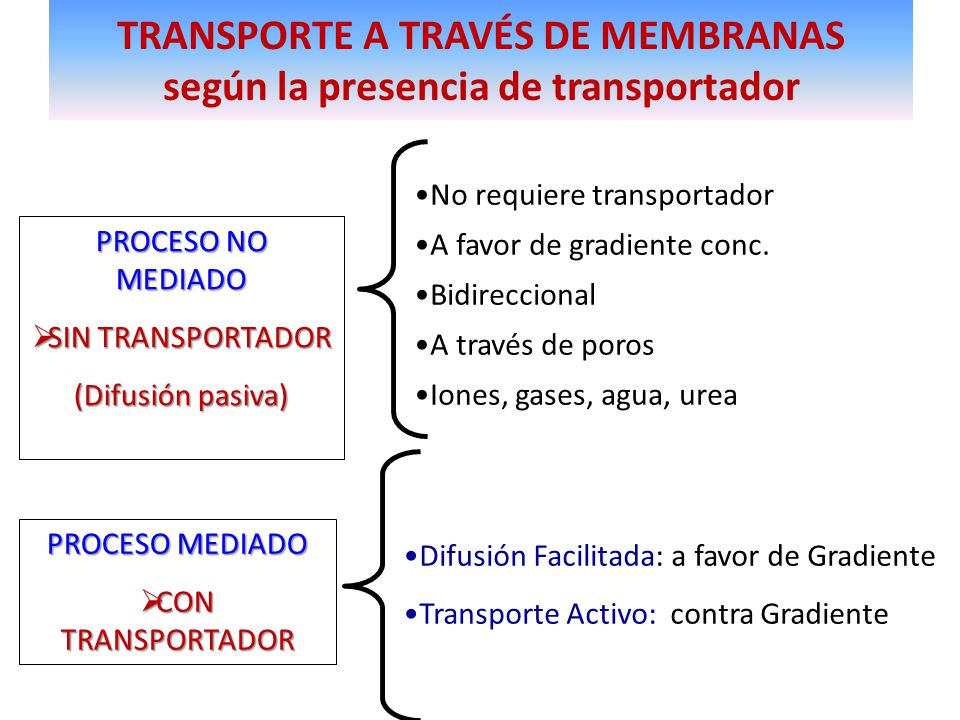 TRANSPORTE A TRAVÉS DE MEMBRANAS según la presencia de transportador
