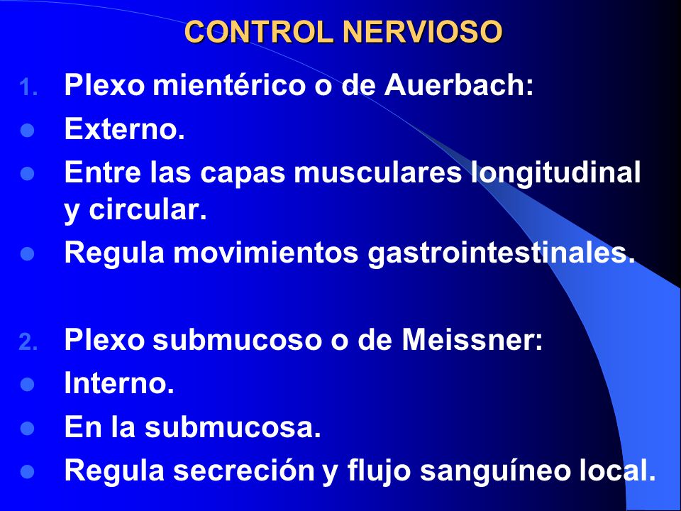 CONTROL NERVIOSO Plexo mientérico o de Auerbach: Externo. Entre las capas musculares longitudinal y circular.